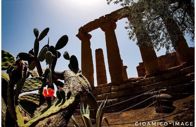 Beatus Suites And Rooms B&B Canicattì Εξωτερικό φωτογραφία